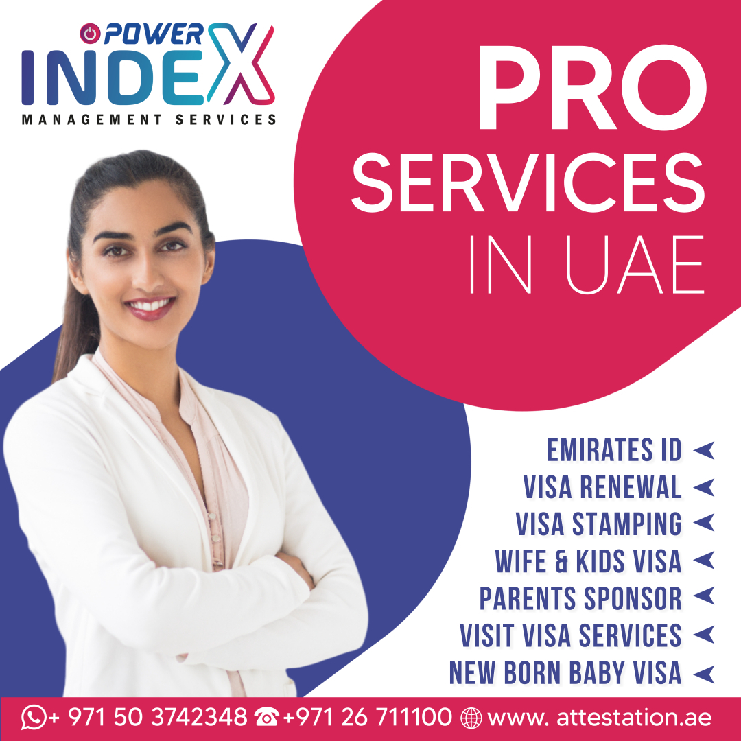 Maximizing Your Business Potential A Comprehensive Guide to Pro Services Outsourcing in UAE